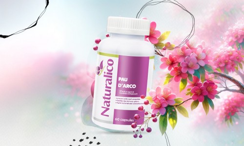 Мравчено дърво или Пау Дарко - растението с интересно име и много ползи за здравето