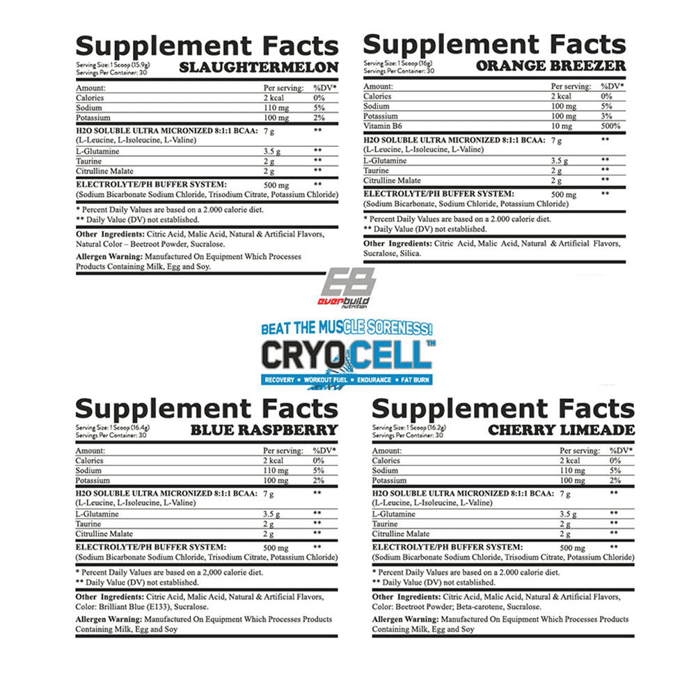 EVERBUILD Cryo Cell BCAA 8:1:1 486 г