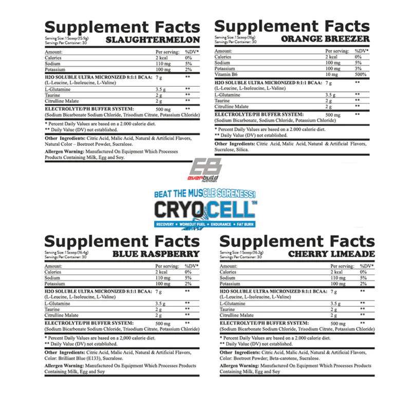 EVERBUILD Cryo Cell BCAA 8:1:1 486 г