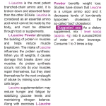 NATURALICO L-Leucine Powder 400 г