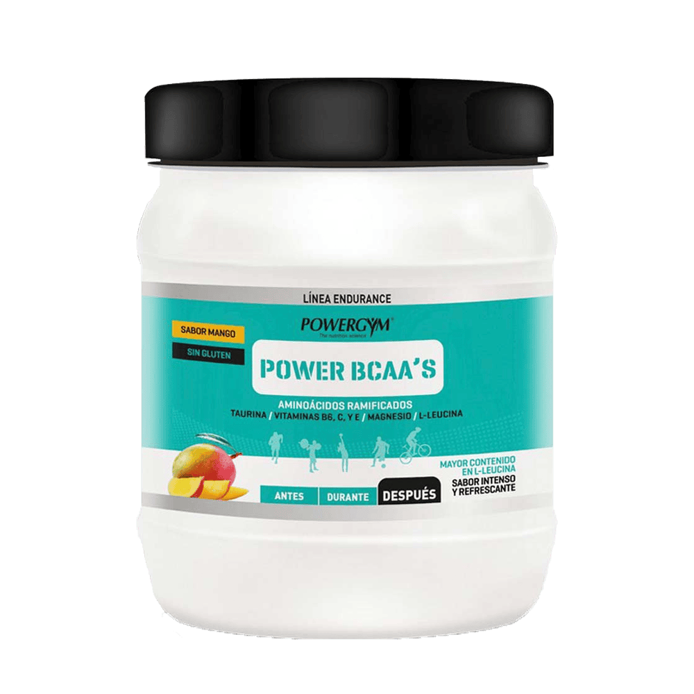 POWERGYM POWER BCAA 450 G