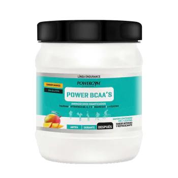 POWERGYM POWER BCAA 450 G