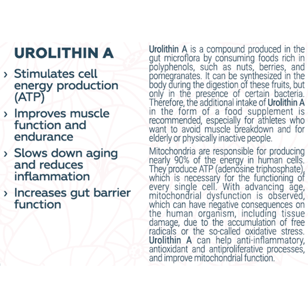 SEKAI KATSURYOKU Urolithin A 30 капсули