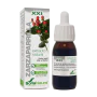 SORIA NATURAL Sarsaparilla Extract XXI 50 мл