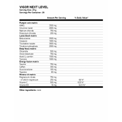 SWEDISH SUPPLEMENTS Vigor Next Level 500 гр.