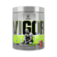 SWEDISH SUPPLEMENTS Vigor Next Level 500 гр.